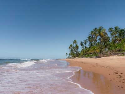 उष्णकटिबंधीय स्वर्ग