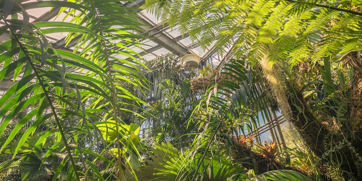 ग्रह का जीवन समर्थन