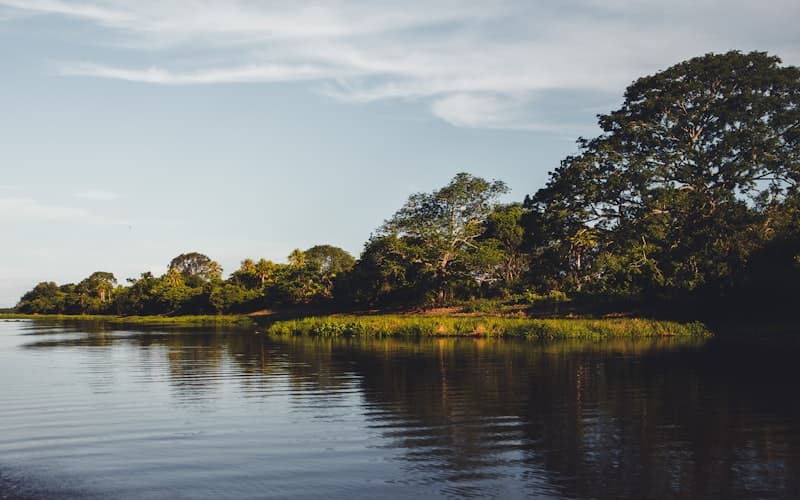 पैंटनल सफारी