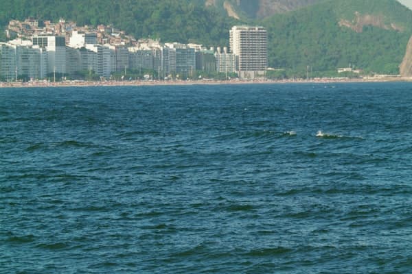 यात्रा करें